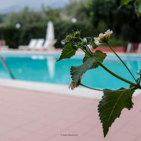 Il Casale Il Sole E La Margherita Campofelice Di Roccella Exteriér fotografie