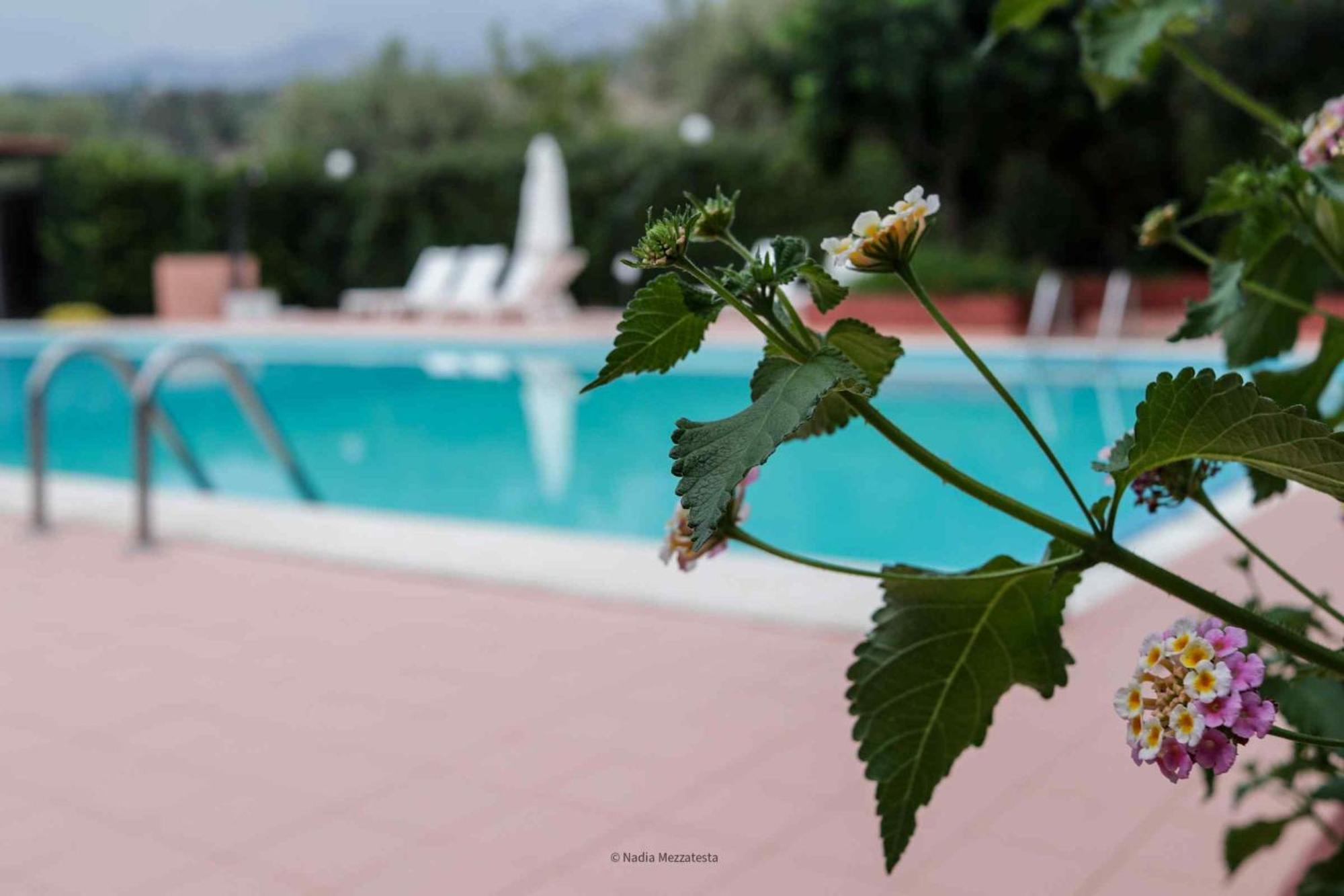 Il Casale Il Sole E La Margherita Campofelice Di Roccella Exteriér fotografie
