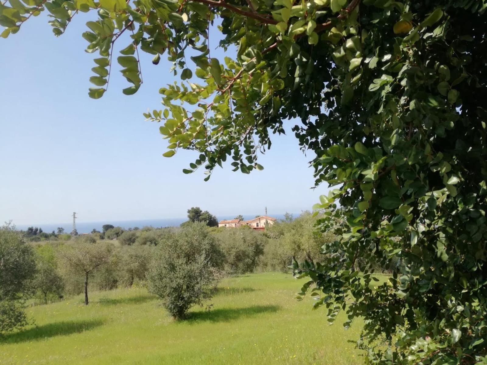 Il Casale Il Sole E La Margherita Campofelice Di Roccella Exteriér fotografie